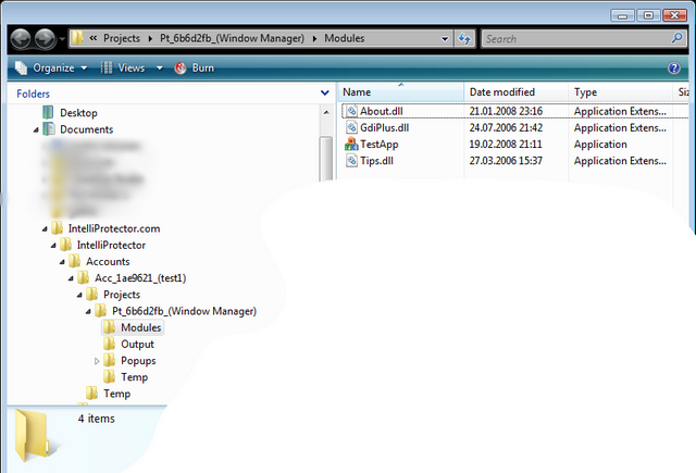 Project modules folder