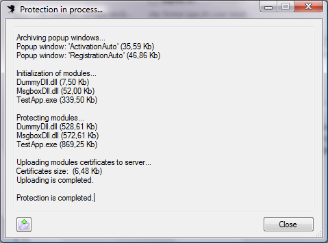 IntelliProtectorProtectionInProcess